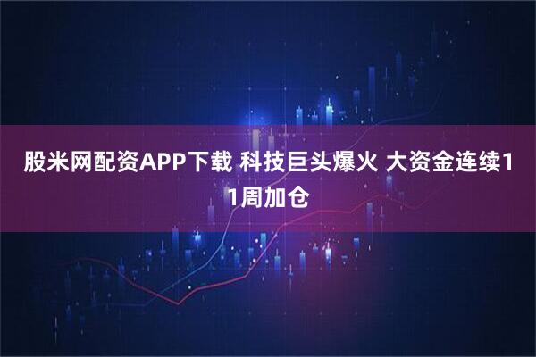 股米网配资APP下载 科技巨头爆火 大资金连续11周加仓