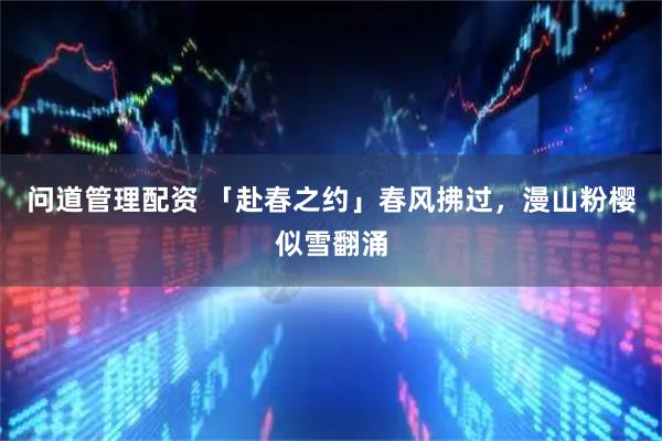 问道管理配资 「赴春之约」春风拂过，漫山粉樱似雪翻涌
