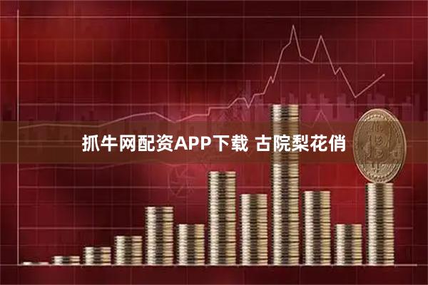 抓牛网配资APP下载 古院梨花俏