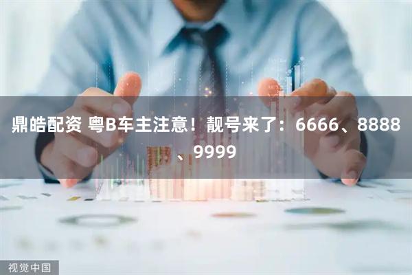 鼎皓配资 粤B车主注意！靓号来了：6666、8888、9999