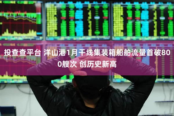 投查查平台 洋山港1月干线集装箱船舶流量首破800艘次 创历史新高